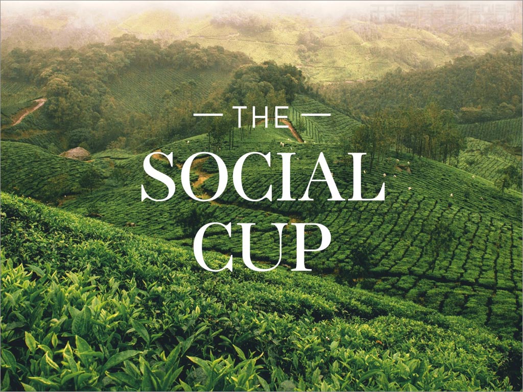 印度Social Cup茶葉品牌logo設(shè)計